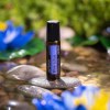 Картинка dōTERRA Touch Голубой лотос, Blue Lotus, роллер 10 мл от магазина dōTERRA