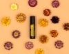 Картинка dōTERRA Touch Бессмертник, Helichrysum, роллер 10 мл от магазина dōTERRA