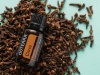 Картинка Эфирное масло dōTERRA Гвоздика, Clove, 15 мл от магазина dōTERRA