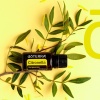 Картинка Эфирное масло dōTERRA Цитронелла, Citronella, 15 мл от магазина dōTERRA