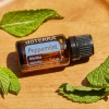 Картинка Эфирное масло dōTERRA Мята перечная, Peppermint, 15 мл от магазина dōTERRA