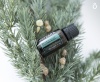 Картинка «Баланс» смесь масел для установления равновесия, doTERRA Balance, 15 мл от магазина dōTERRA