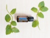 Картинка Эфирное масло dōTERRA Мята перечная, Peppermint, 15 мл от магазина dōTERRA
