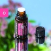 Картинка «Цитрус Блум» смесь весенних ароматов, doTERRA Citrus Bloom, 15 мл от магазина dōTERRA