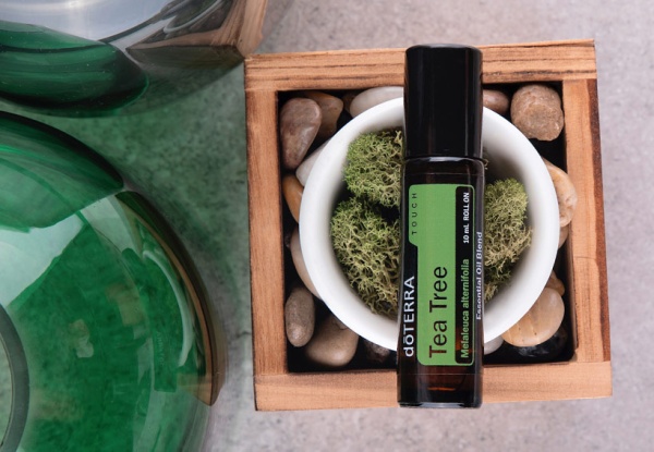 Картинка doTERRA Touch Чайное дерево, Tea Tree, роллер 10 мл от магазина dōTERRA