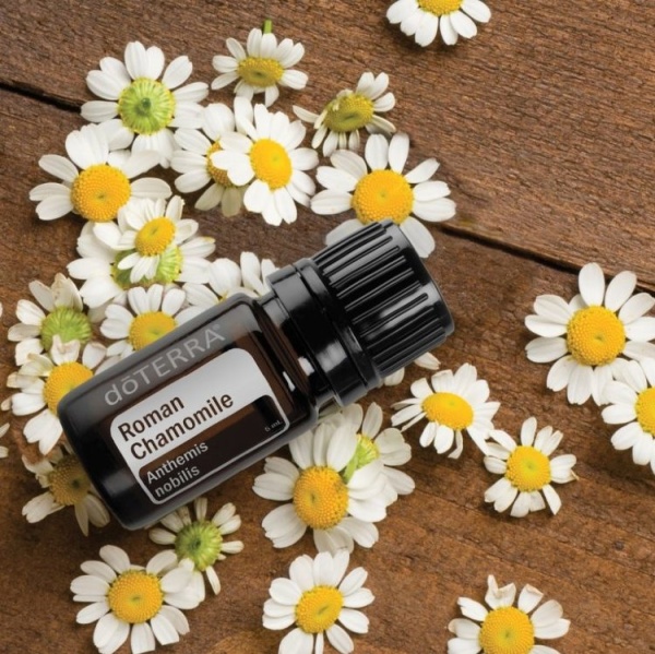 Картинка Эфирное масло doTERRA Римская ромашка, Roman Chamomile, 5 мл от магазина dōTERRA