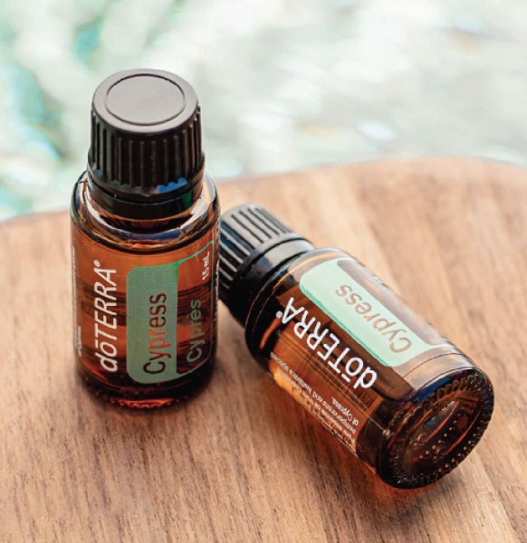 Картинка Эфирное масло doTERRA Кипарис, Cypress, 15 мл от магазина dōTERRA