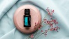 Картинка «АТТ» смесь эфирных масел для массажа, doTERRA Ароматач ATT, 15 мл от магазина dōTERRA
