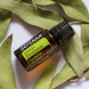 Картинка Эфирное масло dōTERRA Лимонный эвкалипт, Lemon eucalyptus, 15 мл от магазина dōTERRA