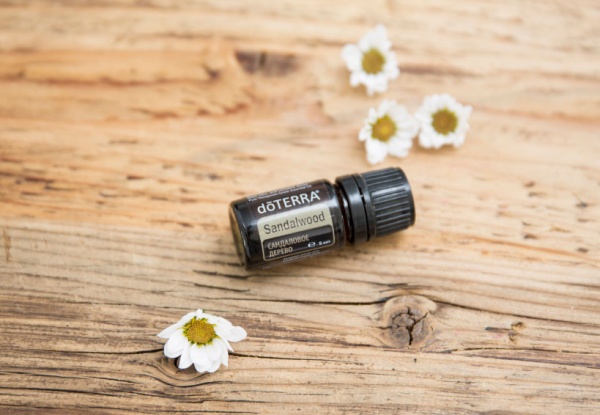 Картинка Эфирное масло doTERRA Сандаловое дерево, Sandalwood, Индийский сандал, 5 мл от магазина dōTERRA