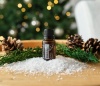 Картинка «Дух рождества» уютная смесь doTERRA «Yule Log», 15 мл от магазина dōTERRA