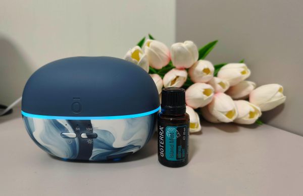 Картинка Набор dōTERRA «Аквамариновая весна» диффузор Pebble (100 мл) и смесь «Айлэнд минт» (15 мл) от магазина dōTERRA