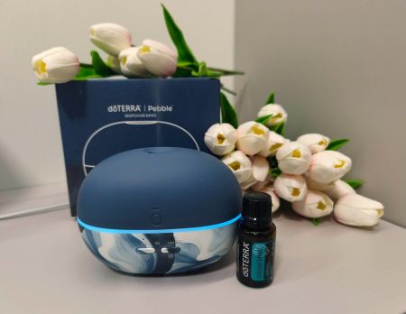 Картинка Набор dōTERRA «Аквамариновая весна» диффузор Pebble (100 мл) и смесь «Айлэнд минт» (15 мл) от магазина dōTERRA