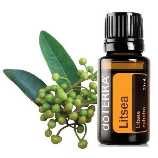 Картинка Эфирное масло doTERRA Литсея, Litsea, 15 мл от магазина dōTERRA