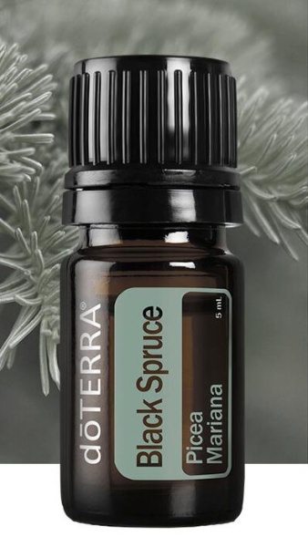 Картинка Эфирное масло dōTERRA Чёрная ель, Black Spruce, 5 мл от магазина dōTERRA