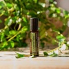 Картинка «Шинрин-Ёку» смесь эфирных масел, doTERRA Shinrin-Yoku (купание в лесу), роллер 10 мл от магазина dōTERRA