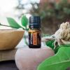 Картинка Защитная смесь эфирных масел «Он гард», doTERRA On Guard, 5 мл от магазина dōTERRA
