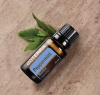 Картинка Эфирное масло dōTERRA Мята перечная, Peppermint, 15 мл от магазина dōTERRA