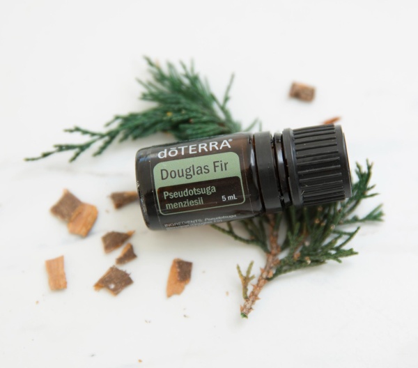 Картинка Эфирное масло doTERRA Дугласова пихта, Douglas Fir, 5 мл от магазина dōTERRA