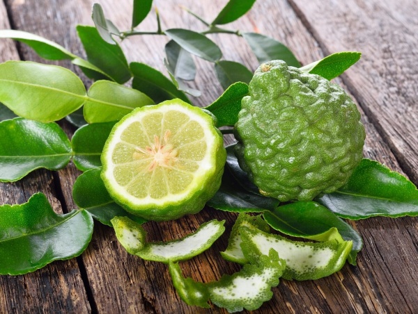 Картинка Эфирное масло doTERRA Бергамот, Bergamot, 15 мл от магазина dōTERRA