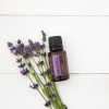 Картинка Эфирное масло dōTERRA Лаванда, Lavender, 15 мл от магазина dōTERRA