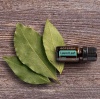 Картинка Эфирное масло dōTERRA Лавровый лист, Laurel Leaf, 5 мл от магазина dōTERRA