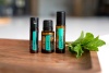 Картинка Cмесь эфирных масел мяты doTERRA SuperMint в гранулах, 125 гранул от магазина dōTERRA